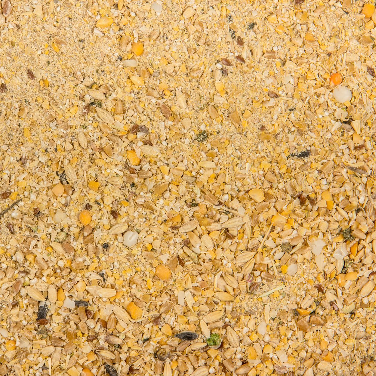 Big Sky Organic Feed Poultry Layer Mash, No Soy