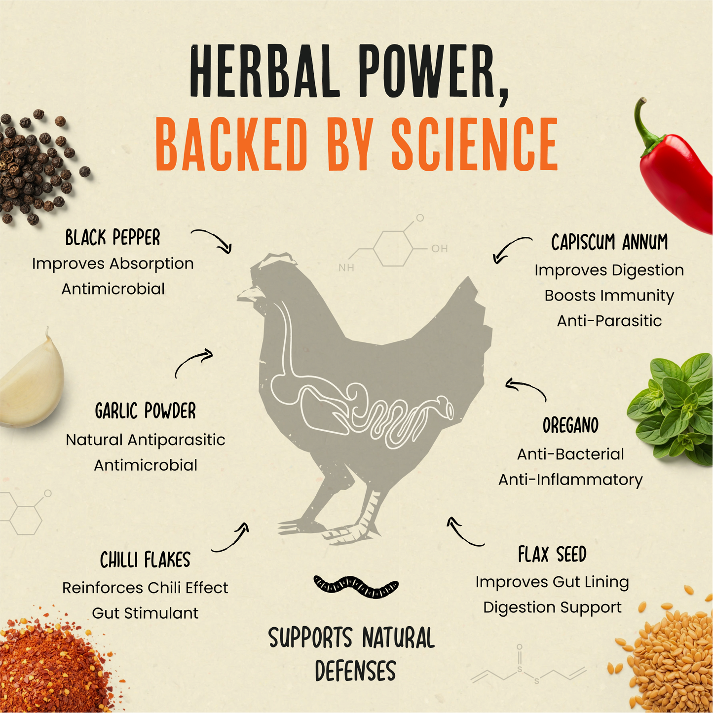 Flock Armor | Daily Chicken Dewormer | Flock Gut Support