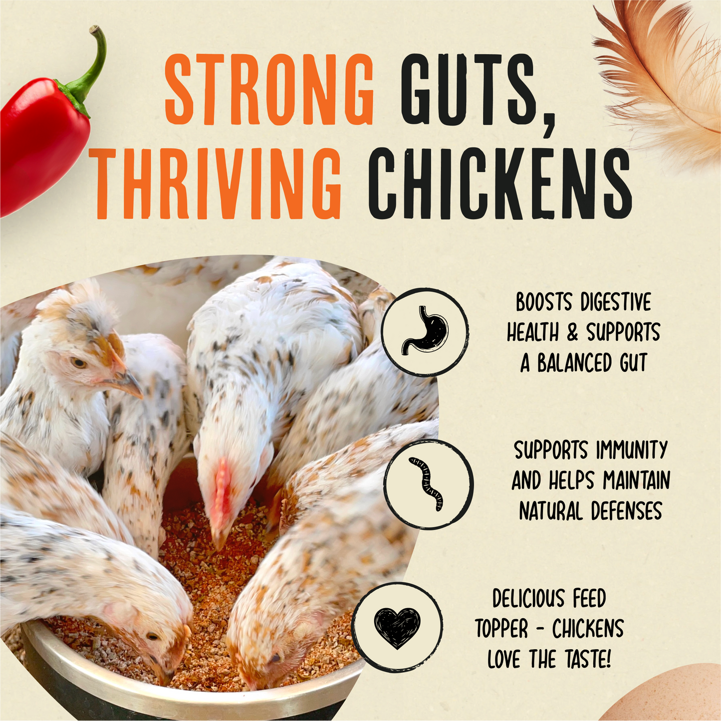 Flock Armor | Daily Chicken Dewormer | Flock Gut Support