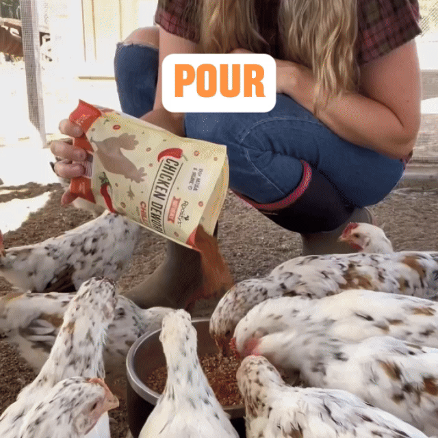 Flock Armor | Daily Chicken Dewormer | Flock Gut Support
