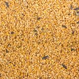 Big Sky Organic Feed Poultry Scratch