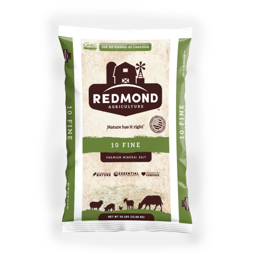 Redmond Natural Trace Mineral Salt